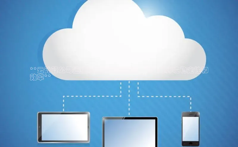 意昂4凯捷体育神思电子**云计算公司运维服务的全面指南 | 确保云环境稳定性和
效率**