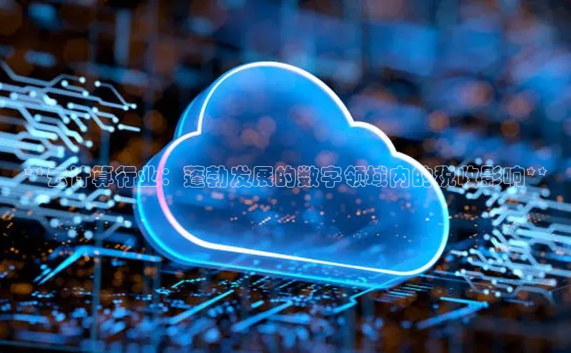 意昂4凯捷体育诸葛科技**云计算行业：蓬勃发展的数字领域内的税收影响**