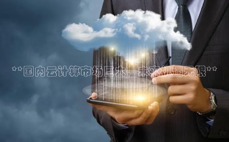 意昂4凯捷体育神思电子**国内云计算市场巨大，未来机遇无限**