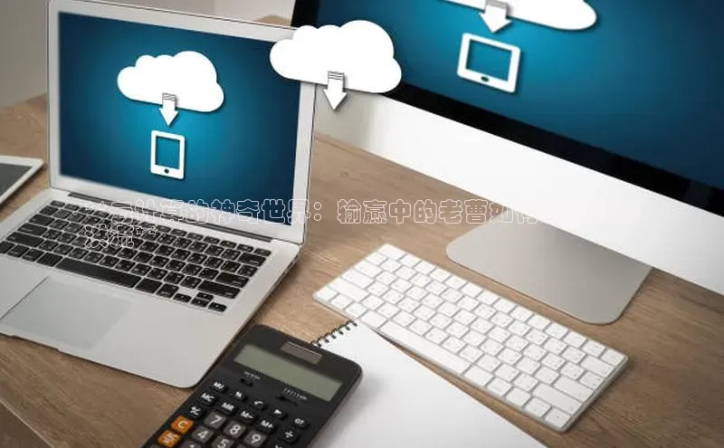 凯捷中海达**云计算的神奇世界：输赢中的老曹如何驾驭数据
洪流**