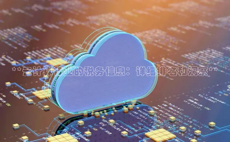 意昂4凯捷宇信科技**云计算行业的税务信息：详细排名和洞察**