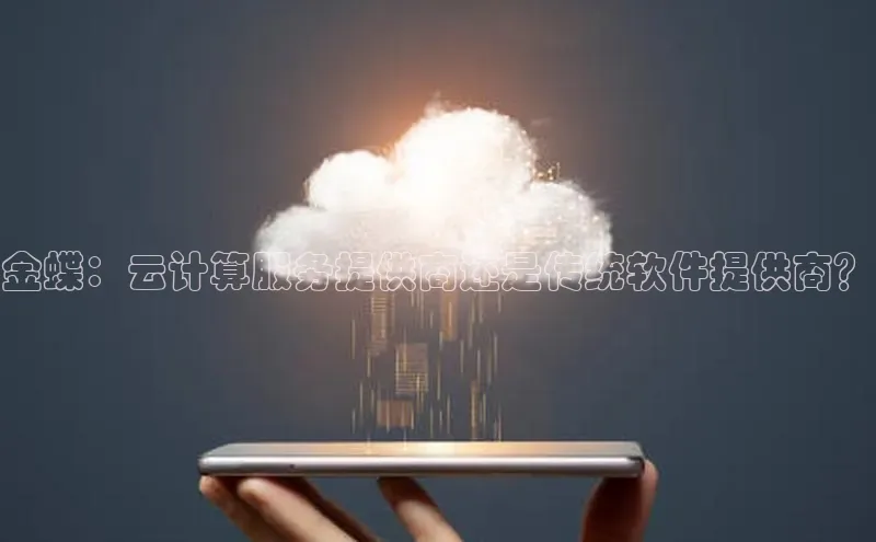 凯捷百度安全社区金蝶：云计算服务提供商还是传统软件提供商？