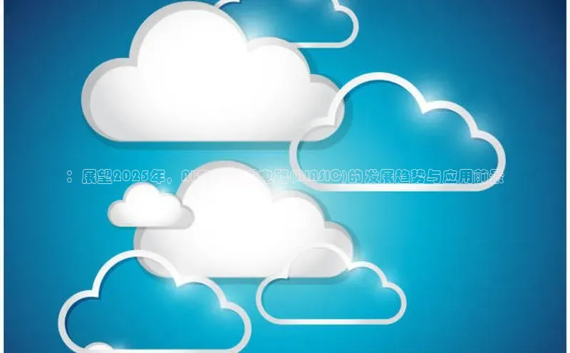 ：展望2025年，AI专用集成电路(AIASIC)的发展趋势与应用前景